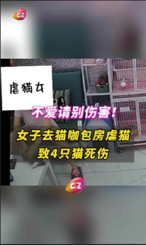 游戏专题 第67页