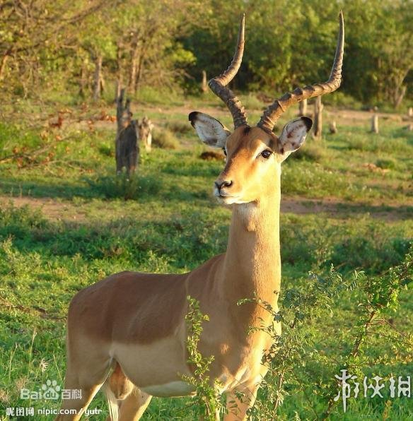 热点生活 第21页